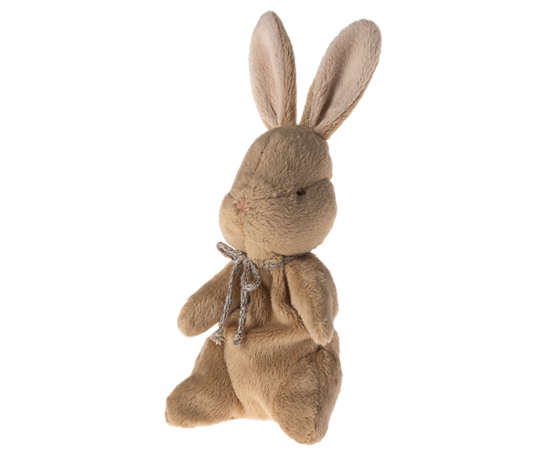 my first bunny | brown