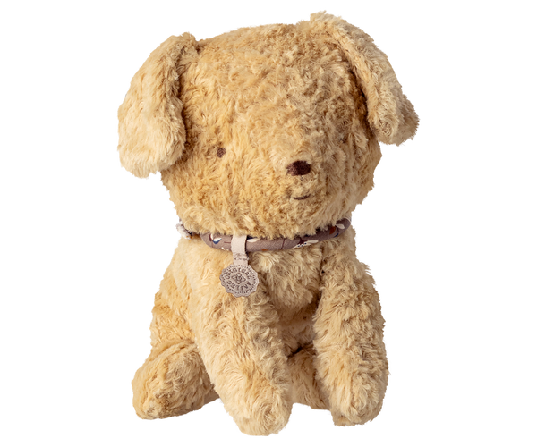 puppy | small - soft sand