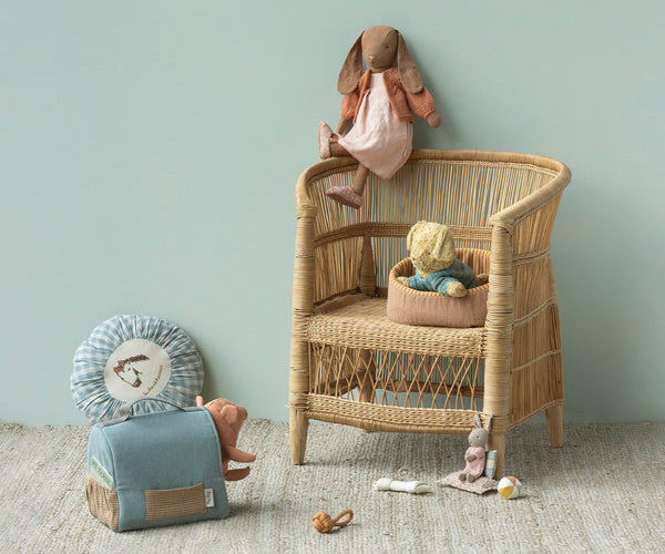 pet basket | powder