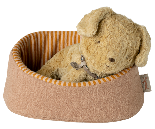 pet basket | powder