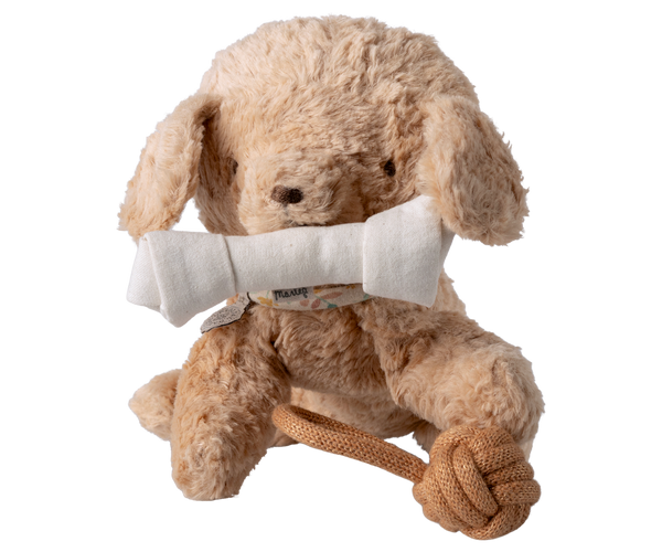 pet supply | toys