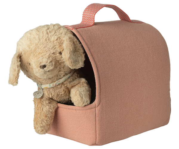 pet carrier | coral