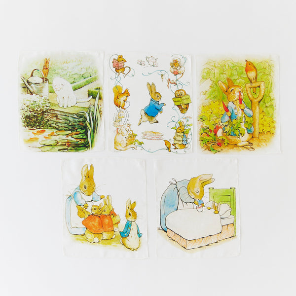 mini mystery box | beatrix potter (preorder)