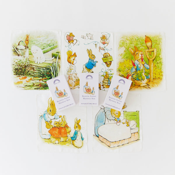 mini mystery box | beatrix potter (preorder)