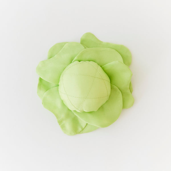 silk vegetables | assorted