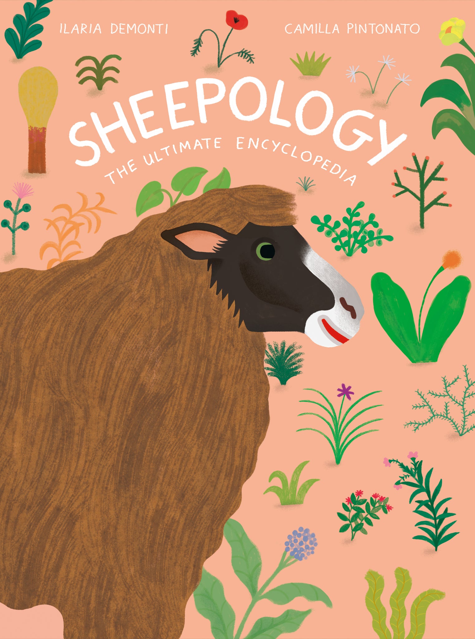 sheepology