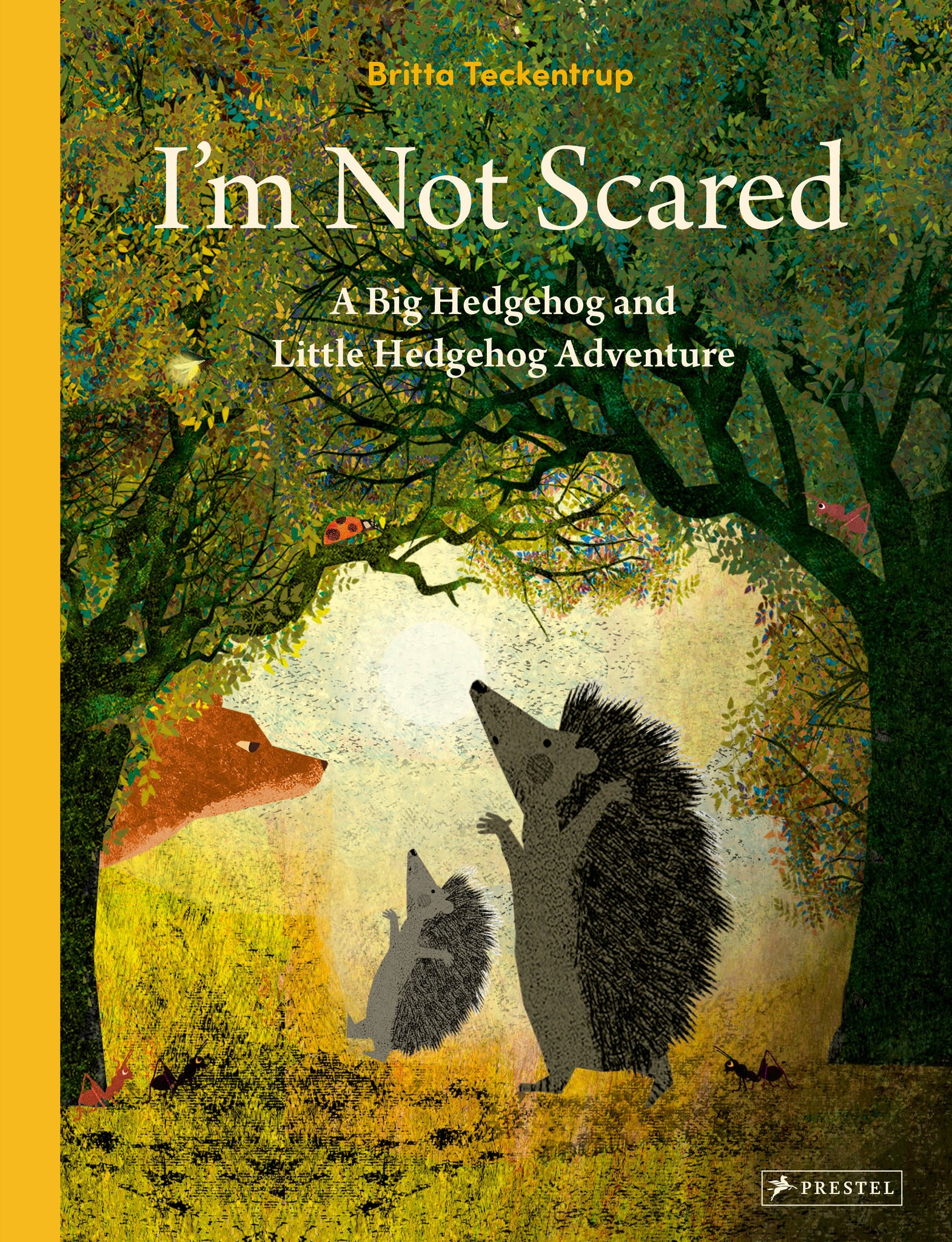 i'm not scared (a big hedgehog and little hedgehog adventure