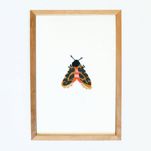 art print | mary the moth