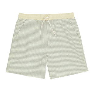 men's boardshort | sage stripe