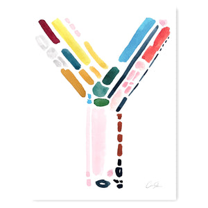 color collection | y print