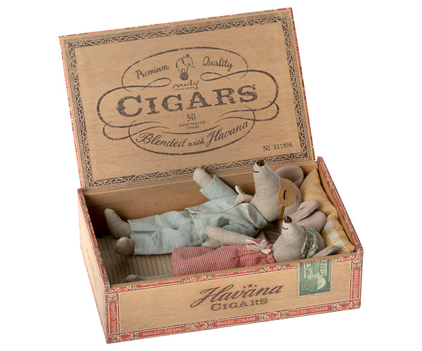 mum & dad mice in a cigar box