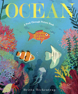 ocean: a peek-through picture book