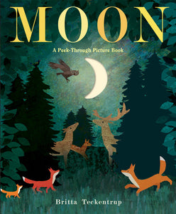 moon: a peek-through book