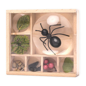 bug box