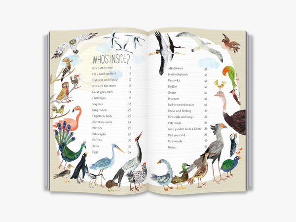 the big book of birds (local only)