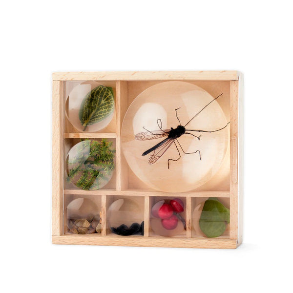 bug box