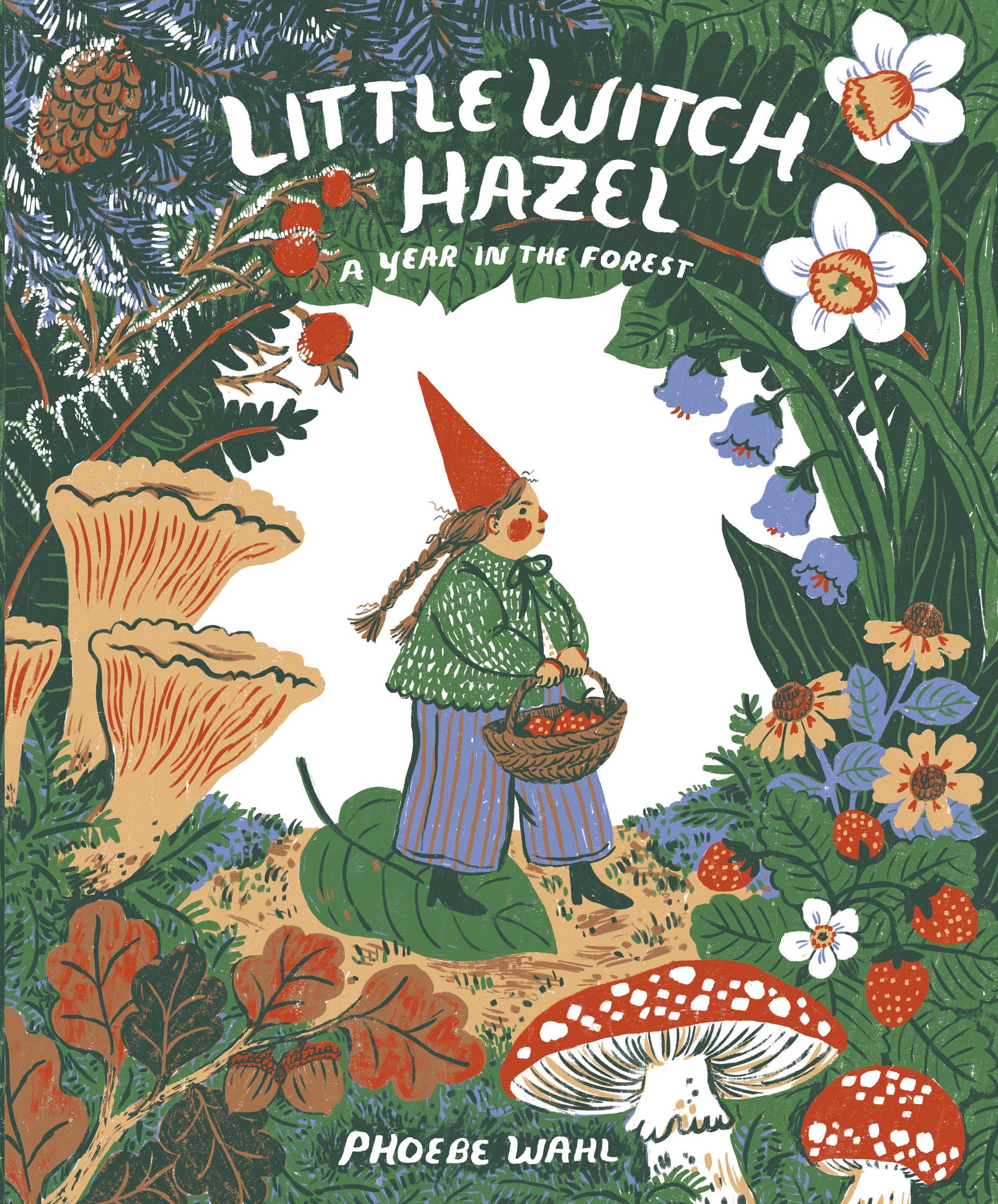 little witch hazel: a year in the forest